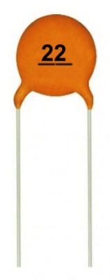 Ceramic Capacitor 22pF (10 pcs)